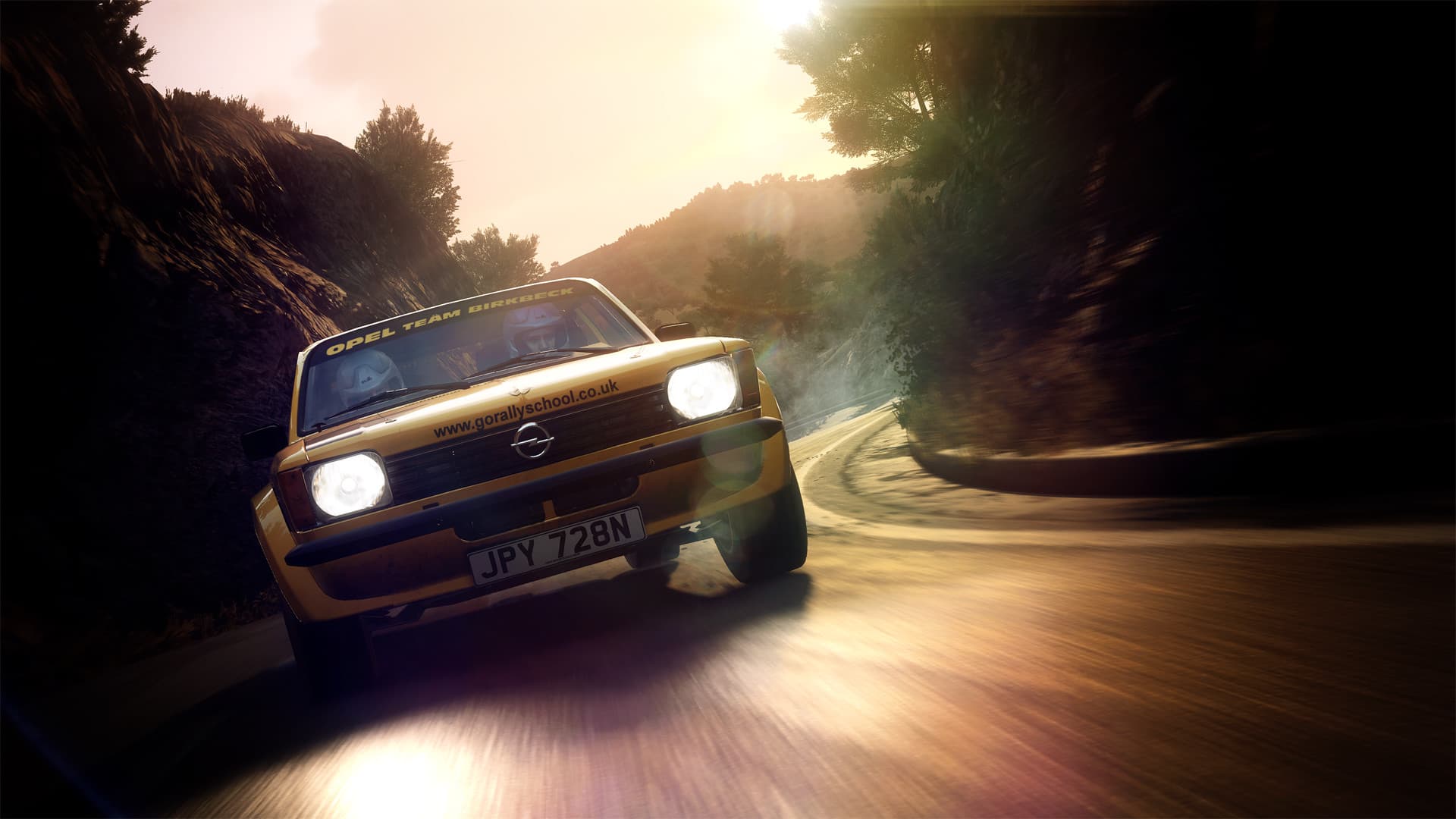 DiRT Rally 2.0 screenshot 24
