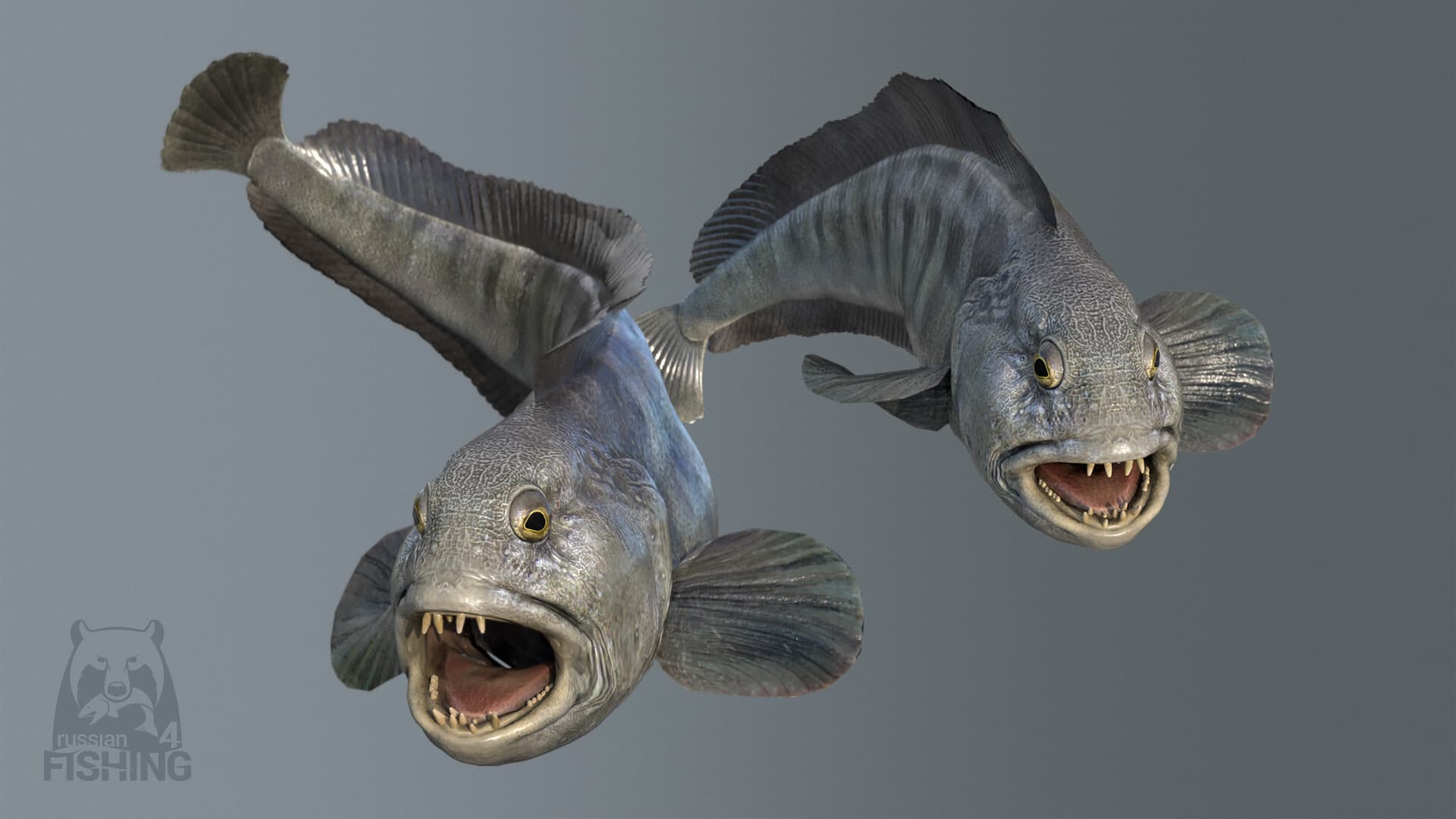 Russian Fishing 4 screenshot 5